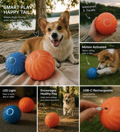 Keep Your Dog Busy for Hours — Without Lifting a Finger