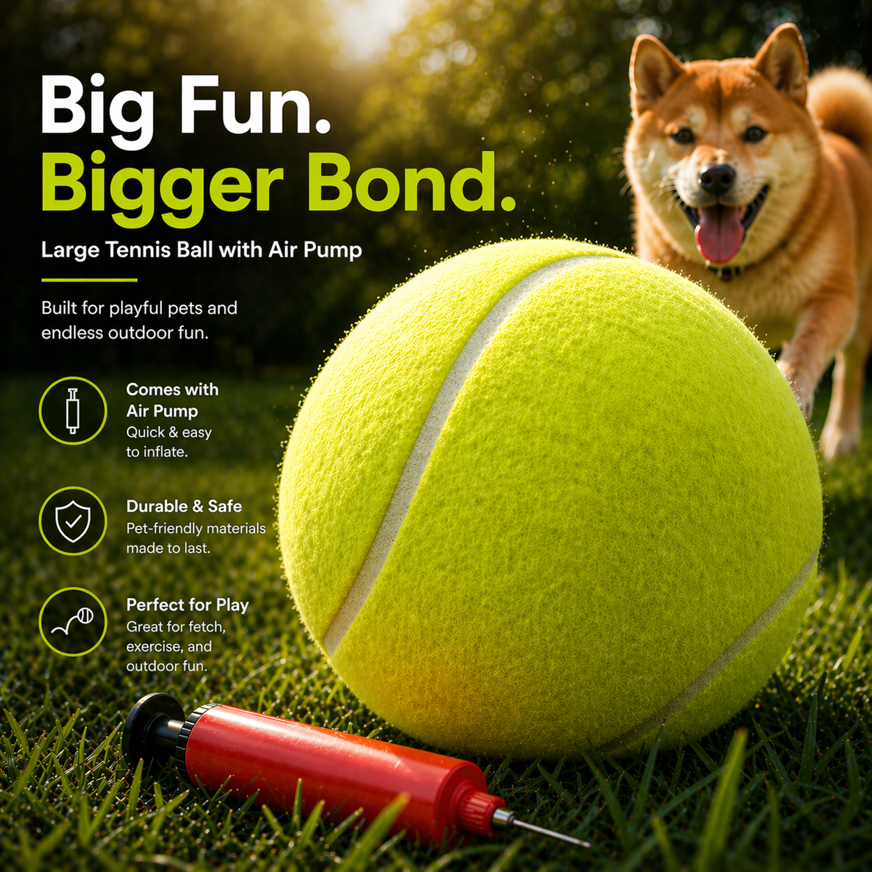 Big Fun for Dogs Who Love to Chase