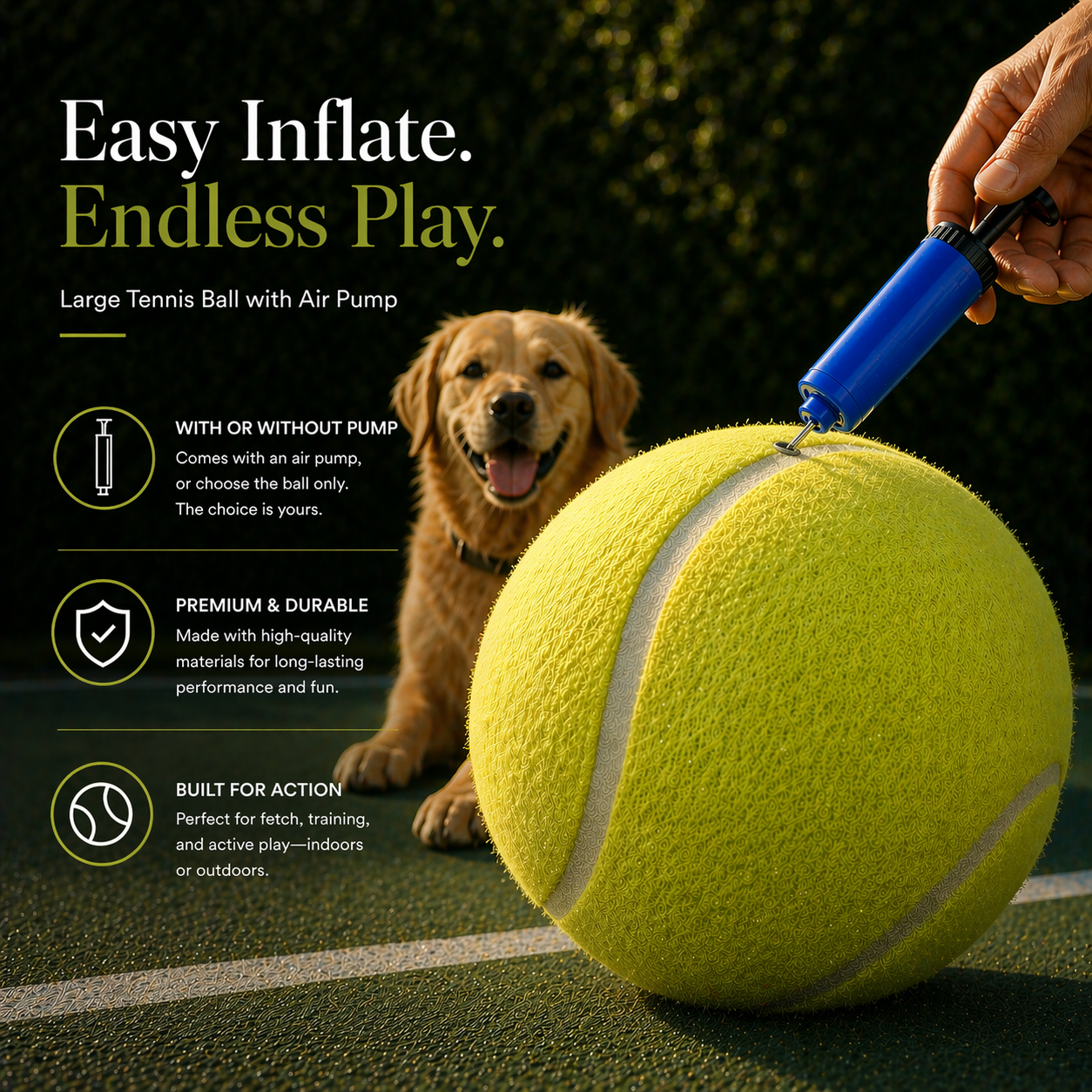 Big Fun for Dogs Who Love to Chase