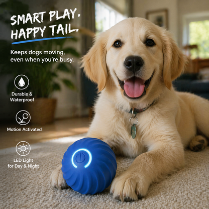 Keep Your Dog Busy for Hours — Without Lifting a Finger