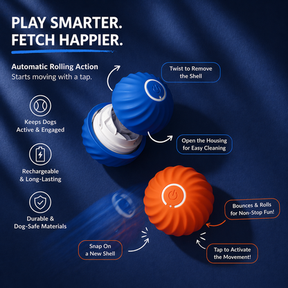 Keep Your Dog Busy for Hours — Without Lifting a Finger