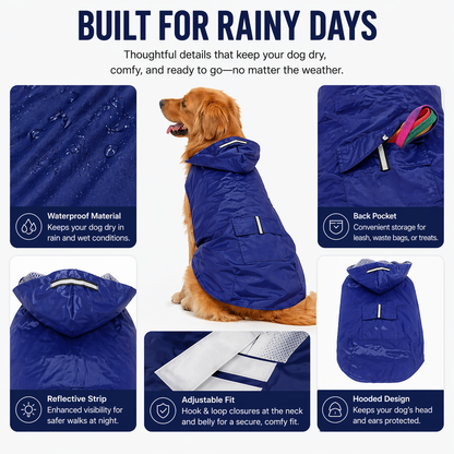 Keep Your Dog Dry — Even in the Rain