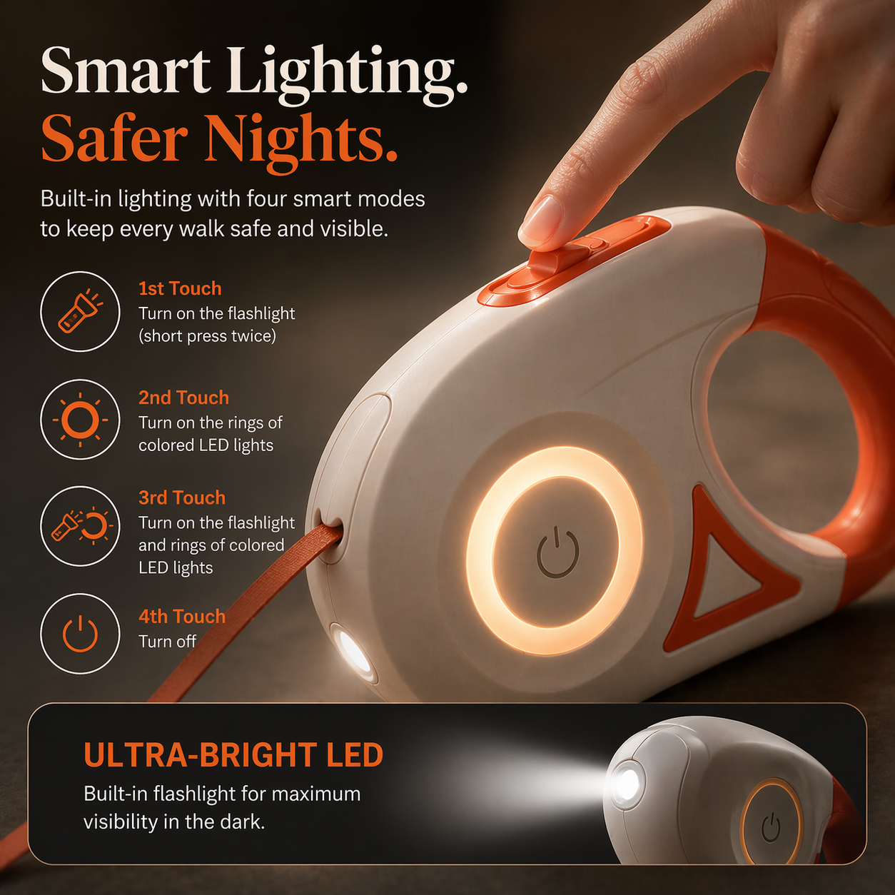 Walk Your Dog Safely — Day or Night