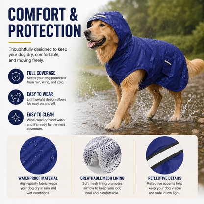 Keep Your Dog Dry — Even in the Rain